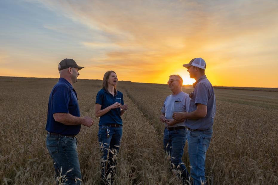 People standing in a wheat field