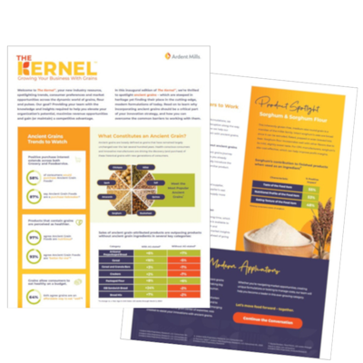 A preview of the first edition of The Kernel